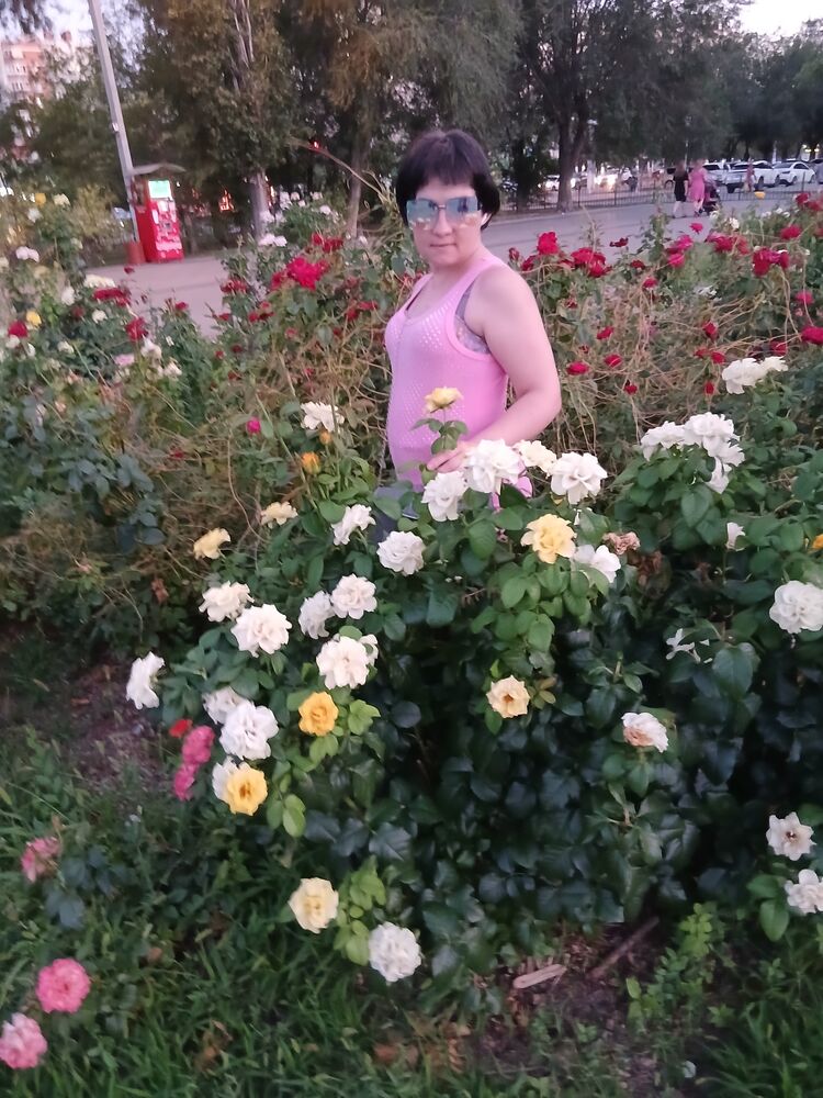  53003896  , 29 ,    