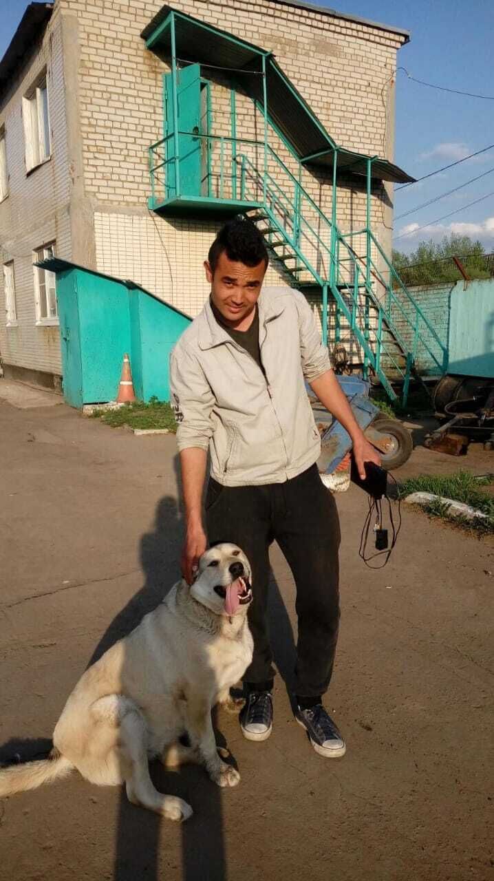 ���������� ������, ���� ������� �� �������, 30 ���, ������������ ��� ������, ����� � ���������