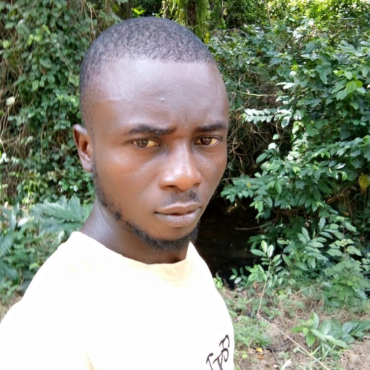 ���������� Paradise, ���� ������� Nlenos ike, 33 ����, ������������ ��� ������, ����� � ���������