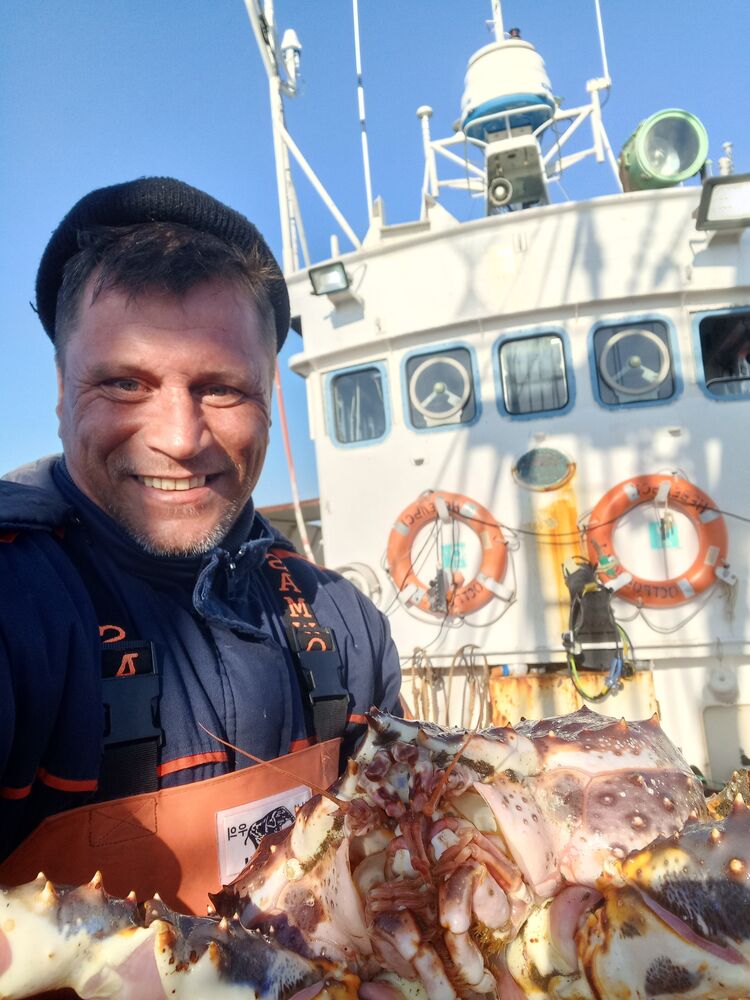 ���� 25698126 ������� �������, 50 ���, ���� ���������� � �����������