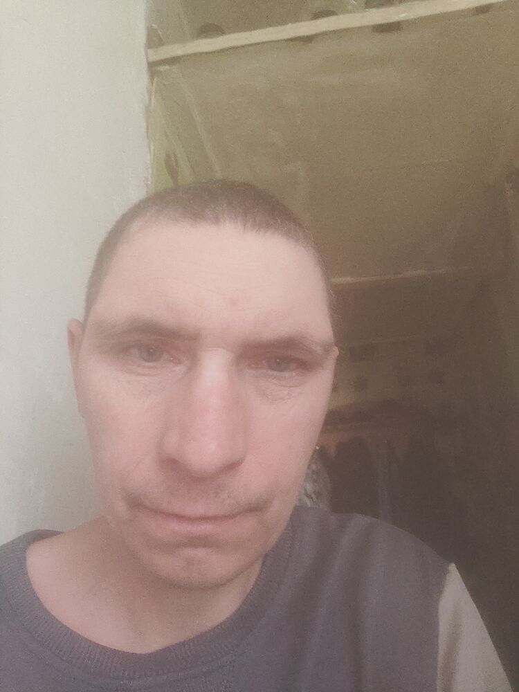  42721296  , 43 ,    
