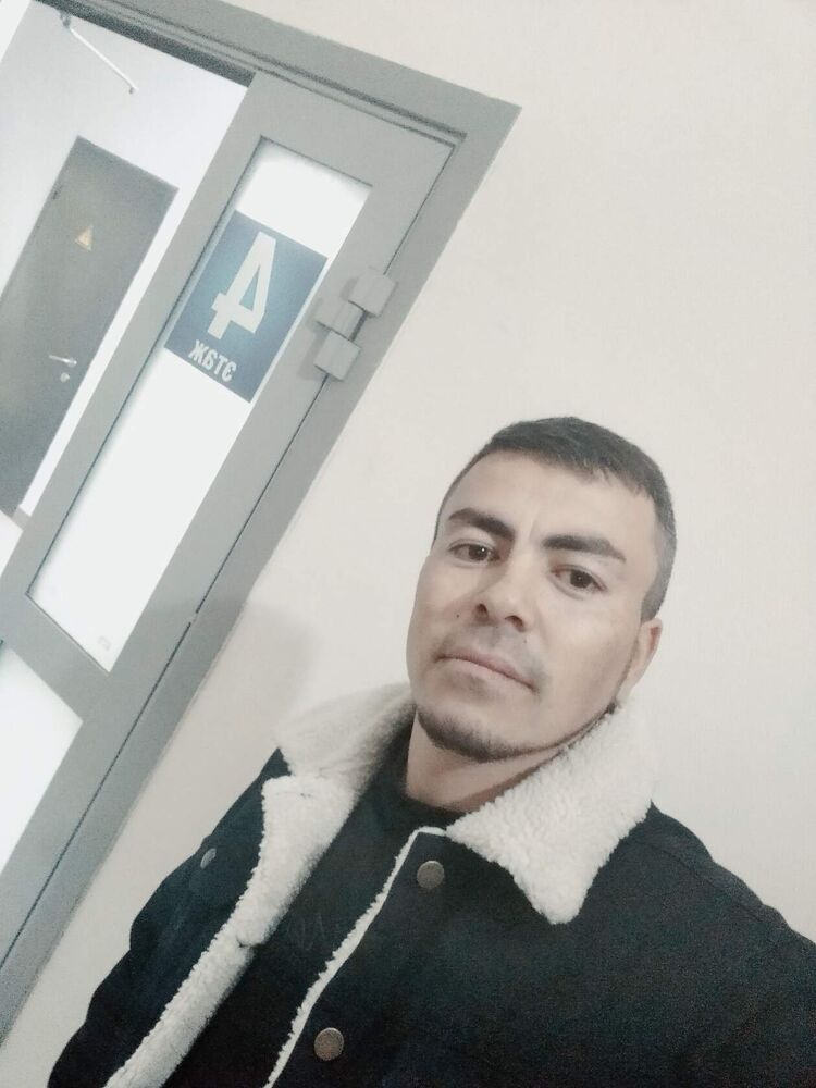  43844846  , 33 ,    -
