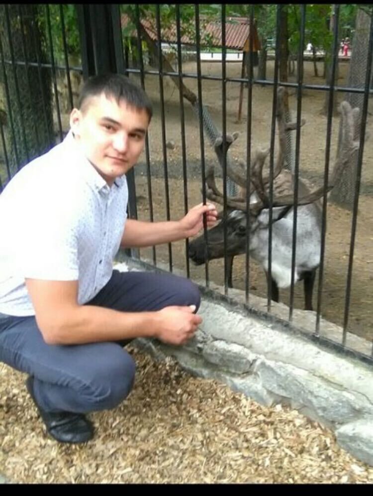 ���� 24981626 ������� �����, 35 ���, ���� ���������� � ��������