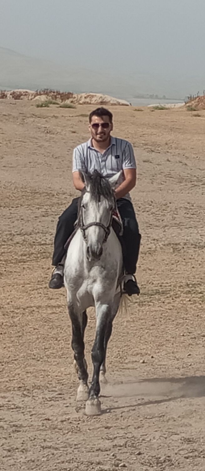 ���������� �����-���������, ���� ������� �����, 32 ����, ������������ ��� ������, ����� � ���������