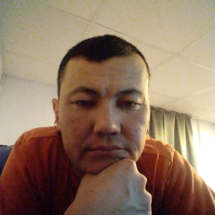 ���� 22424606 ������� �����, 33 ����, ���� ���������� � ���������