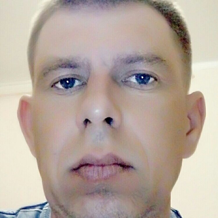  20335556  , 46 ,    