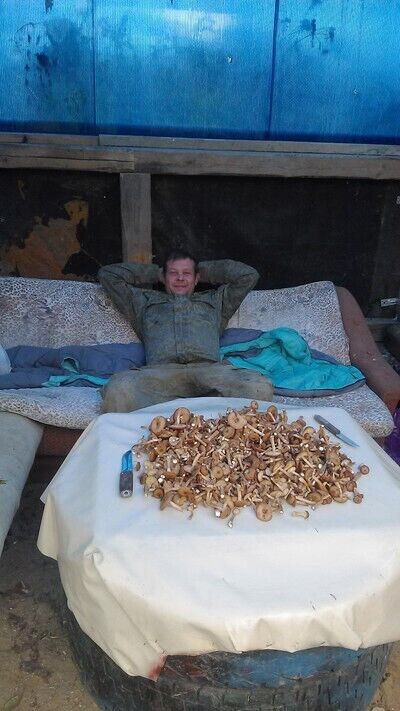 ���� 21782946 ������� ������, 38 ���, ���� ���������� � ������