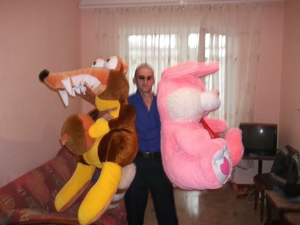  36615866  Sigmei, 101 ,    