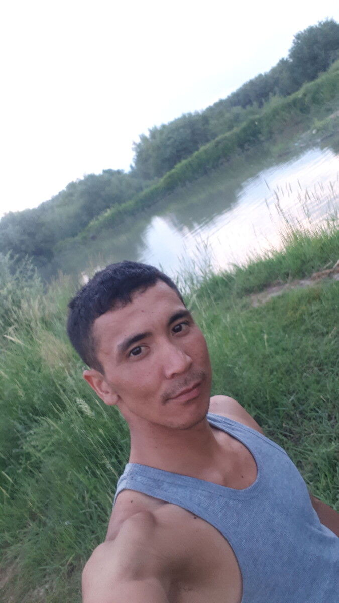  ,   Rover, 37 ,   ,   , c 