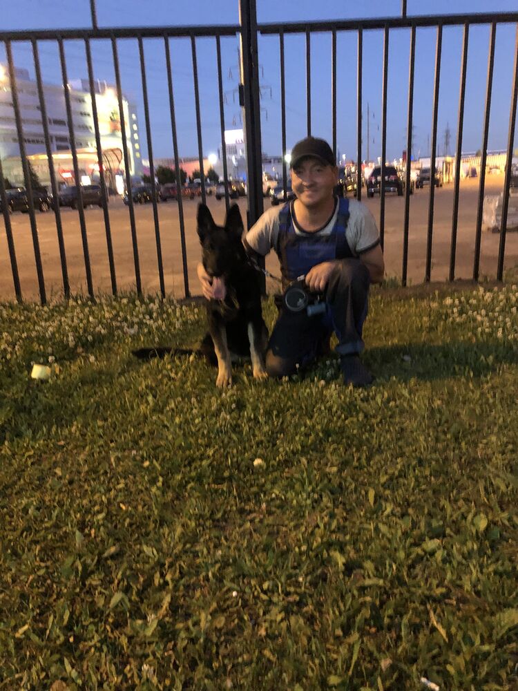 ���������� ������, ���� ������� �����, 41 ���, ������������ ��� ������, ����� � ���������