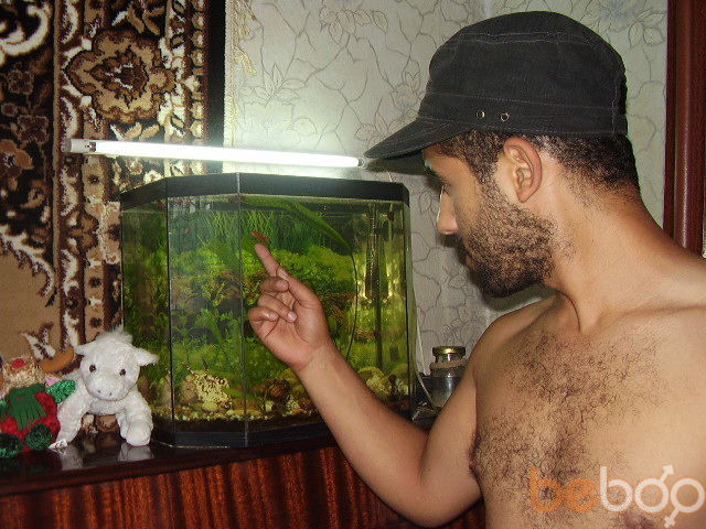  1213856  Amirovitch, 40 ,    