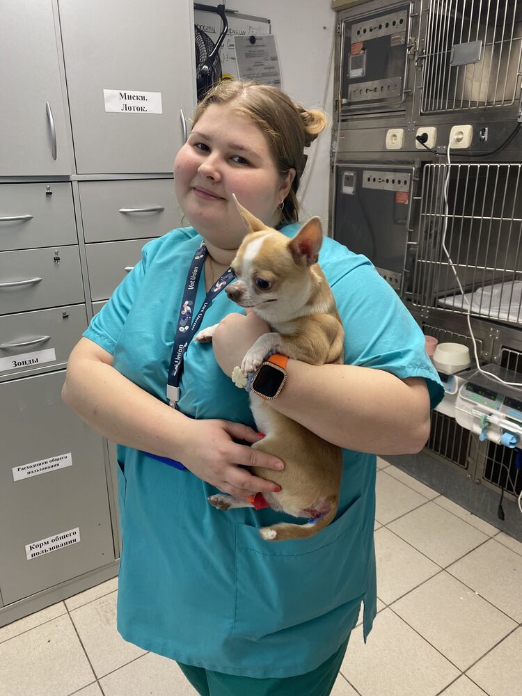 ���������� ������, ���� ������� ����, 21 ���, ������������ ��� ������, ����� � ���������