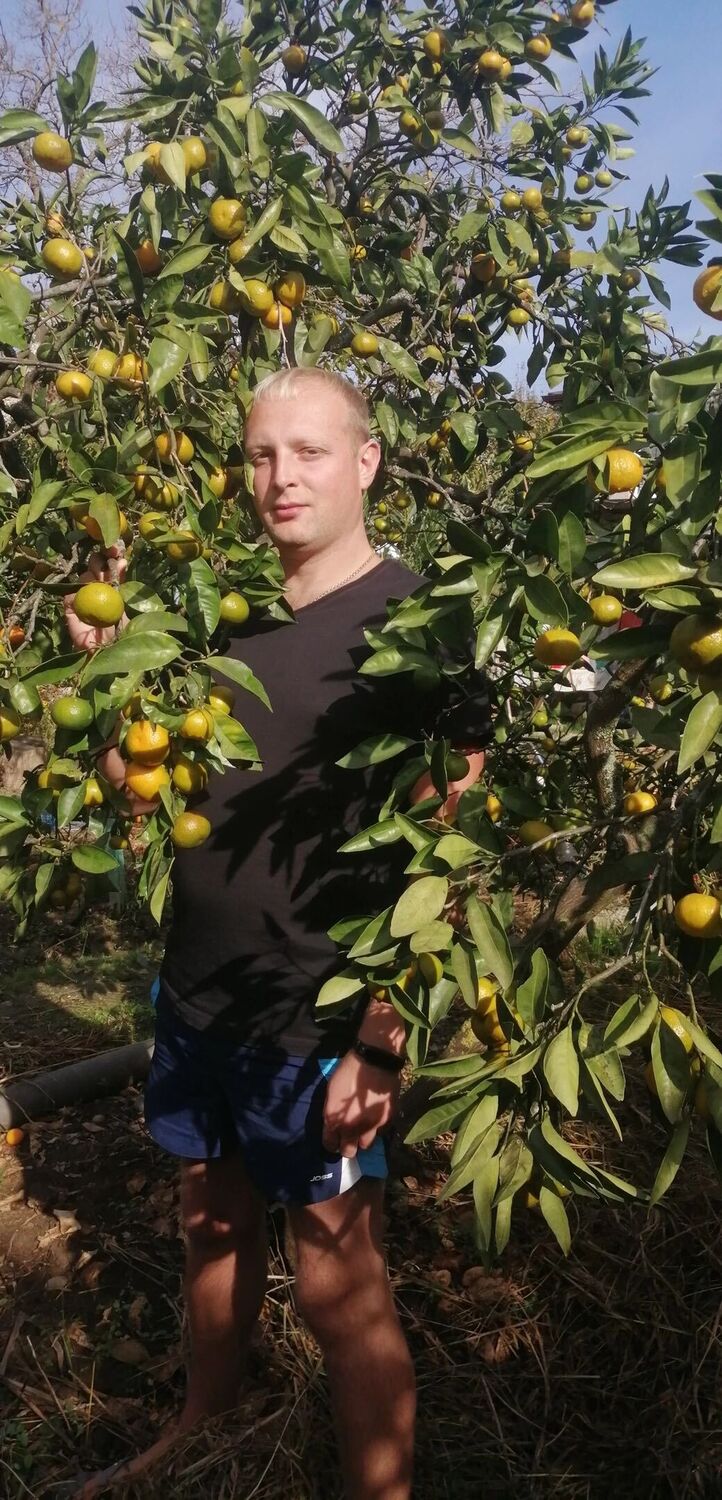 ���� 55963806 ������� ������, 37 ���, ���� ���������� � ��������