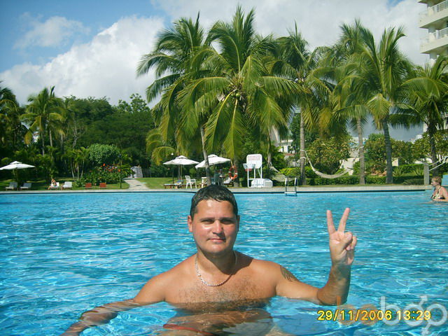  518586  Wish77, 48 ,    