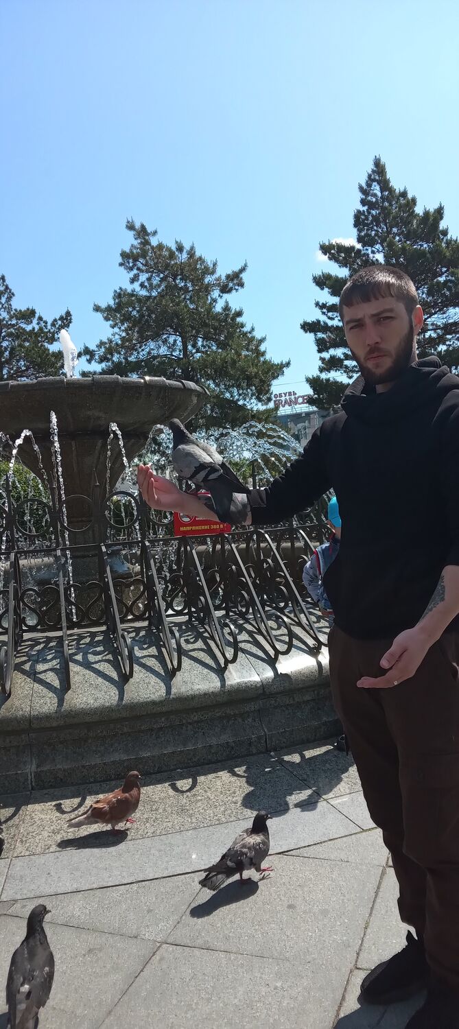 ���������� �����������-��-�����, ���� ������� ����, 28 ���, ������������ ��� ������, ����� � ���������