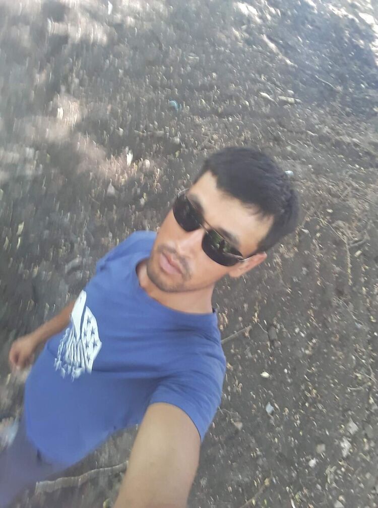  20344646  , 34 ,    