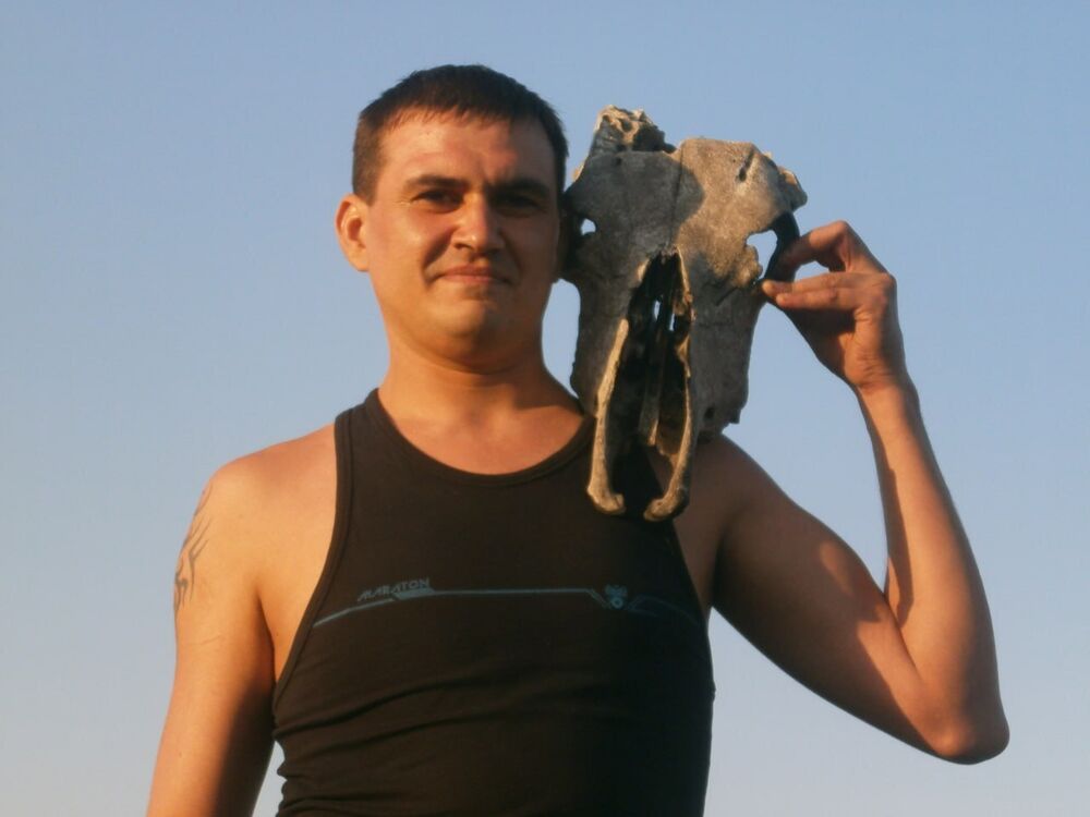 ���� 44786586 ������� �����, 43 ����, ���� ���������� � ������