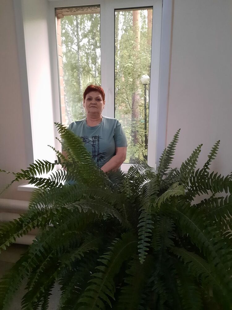 ���� 55904156 ������� �������, 66 ���, ���� ���������� � ������