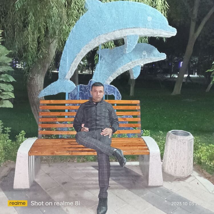  49321366  DIMA, 34 ,    -