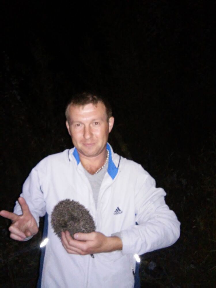 ���� 12612736 ������� ��������, 40 ���, ���� ���������� � ��������