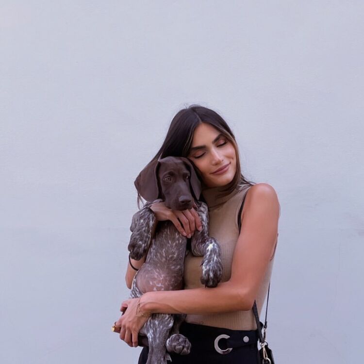 ���������� �����-���������, ���� ������� ���, 29 ���, ������������ ��� ������, ����� � ���������