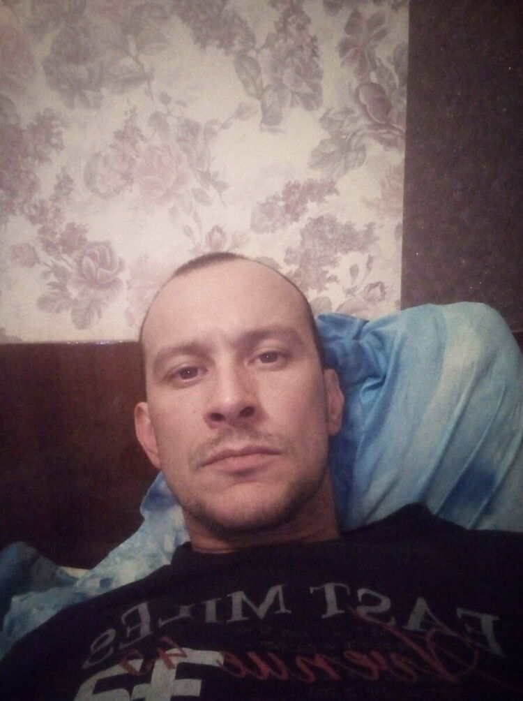  21650656  , 43 ,    