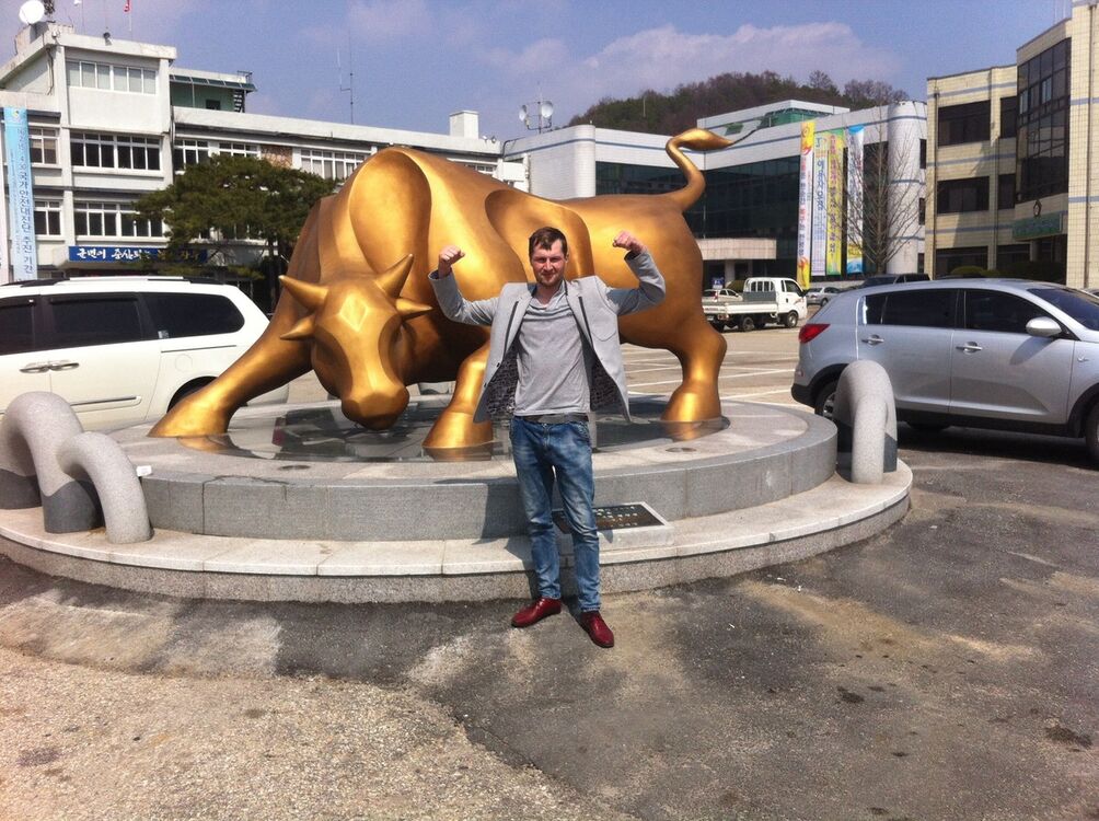  -,   , 36 ,   