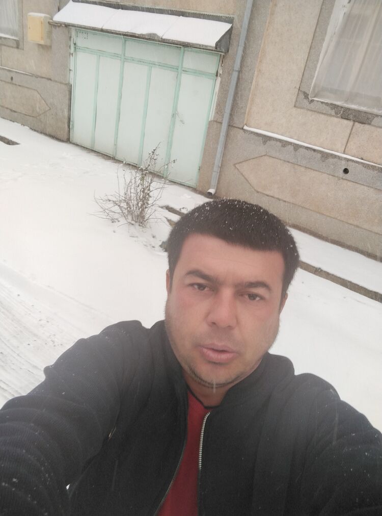  50062736  , 38 ,    