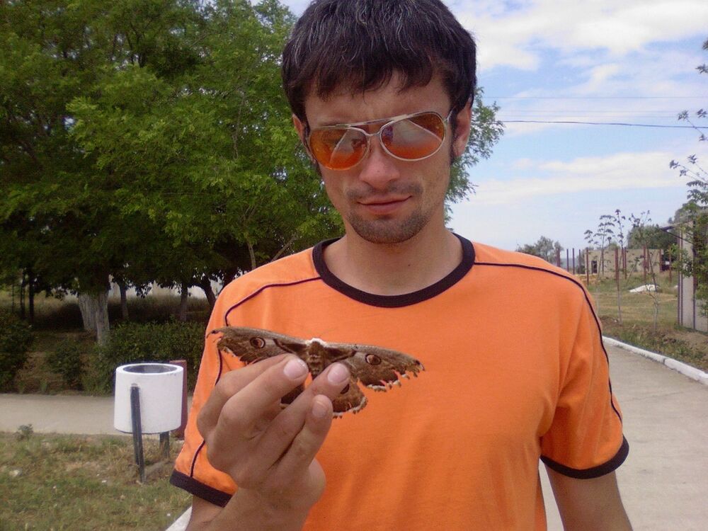 ���� 19325656 ������� ������, 44 ����, ���� ���������� � �����������