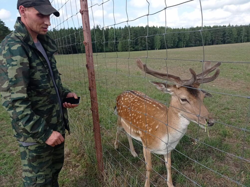 ���������� �����, ���� ������� ������, 37 ���, ������������ ��� ������, ����� � ���������