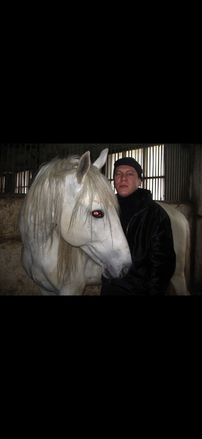 ���������� ������, ���� ������� ������, 41 ���, ������������ ��� ������, ����� � ���������, c�������� ���������