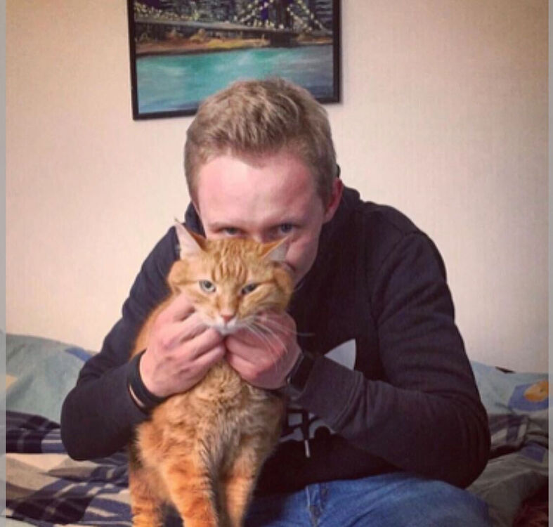 ���������� �����-���������, ���� ������� ���������, 34 ����, ������������ ��� ������, ����� � ���������, c�������� ���������