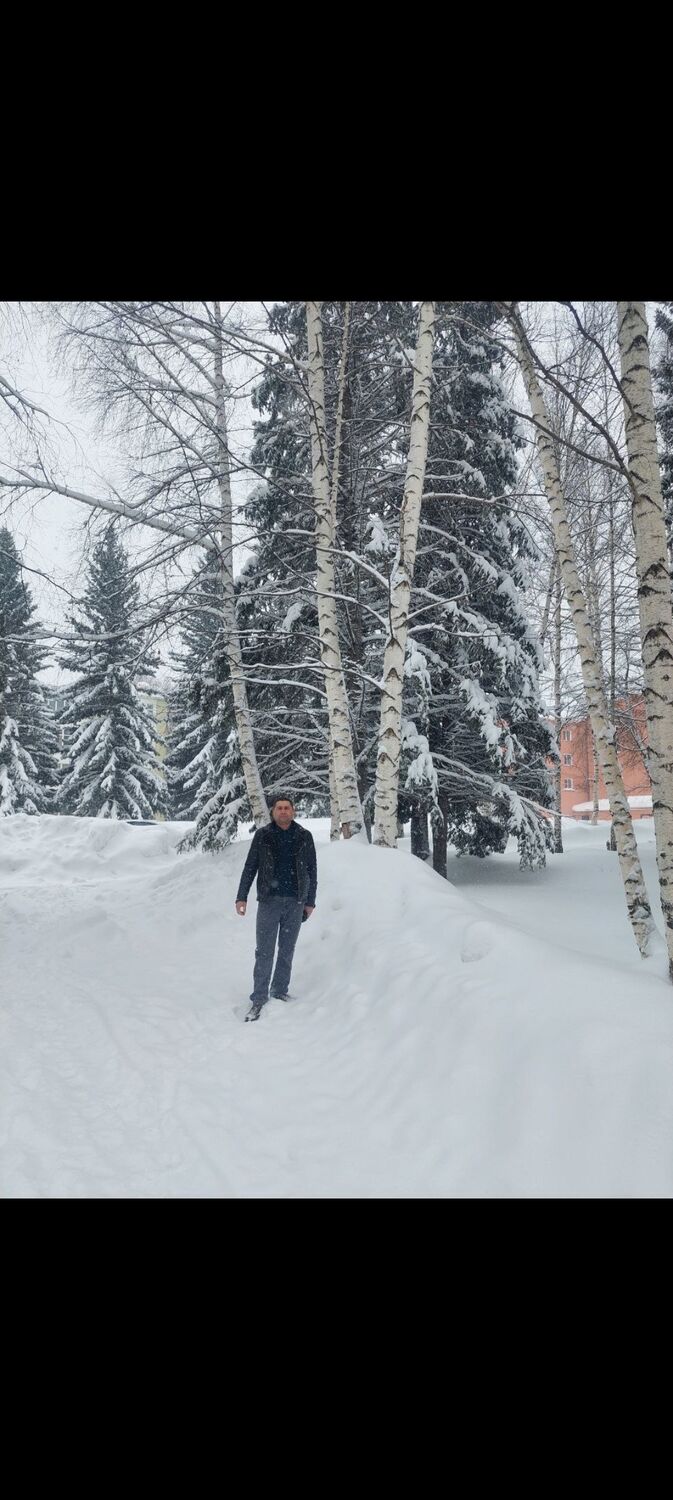  52535796  , 40 ,    -