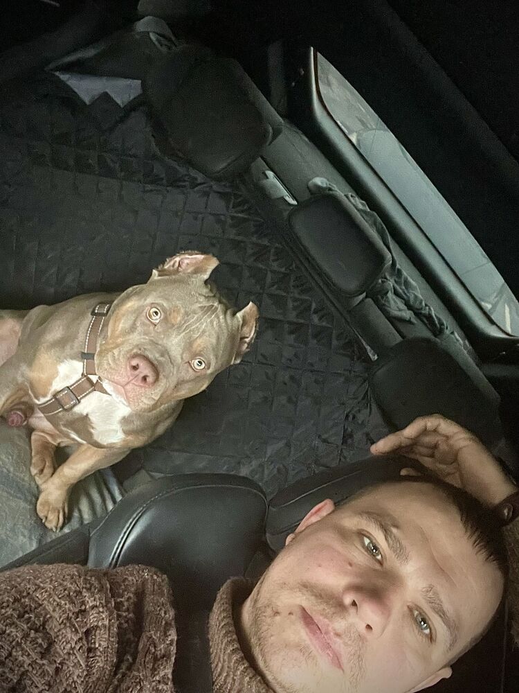  54571776  , 40 ,    -