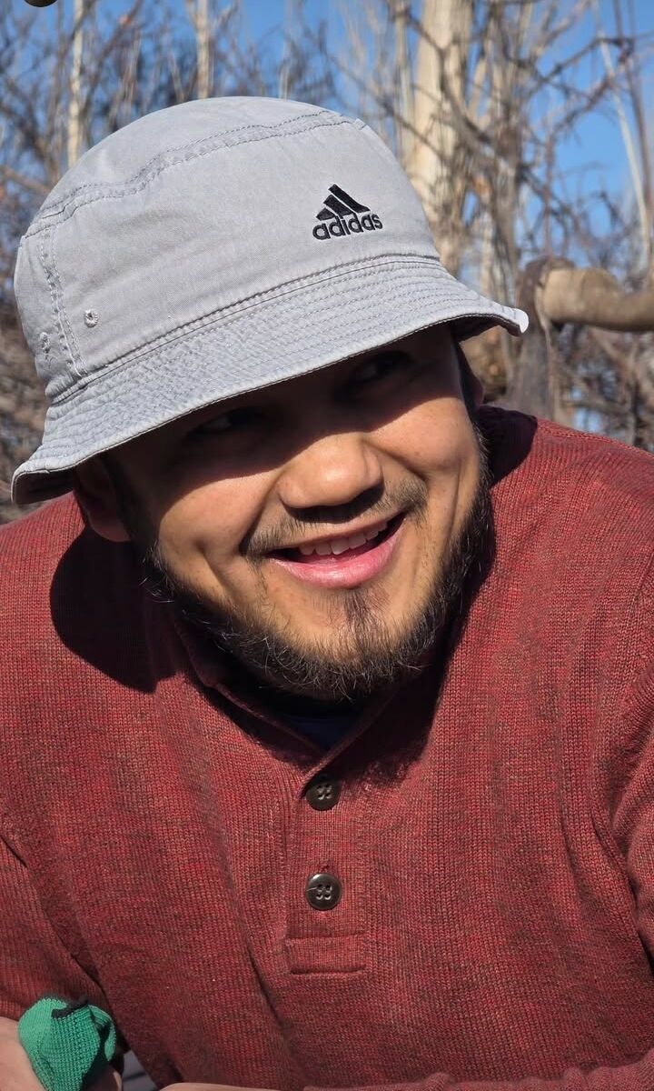 ���� 55088586 ������� Bek, 29 ���, ���� ���������� � �������