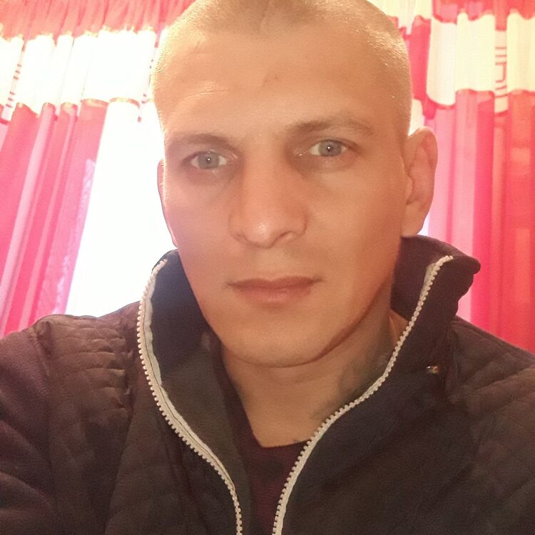  11883686  , 41 ,    