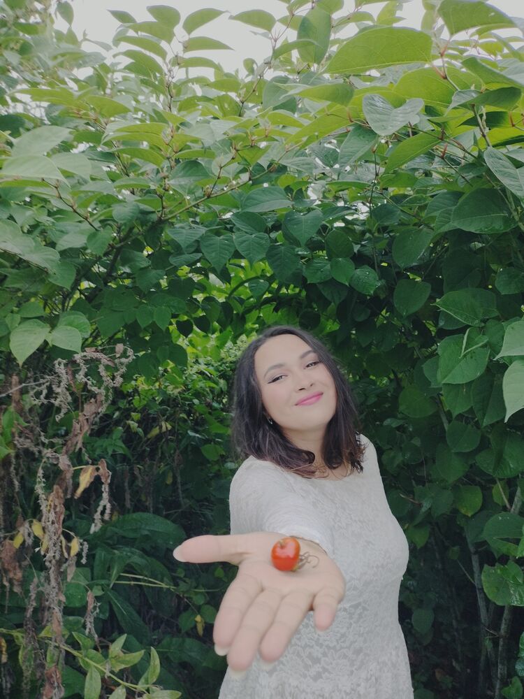 ���������� �����������, ���� ������� �����, 27 ���, ������������ 