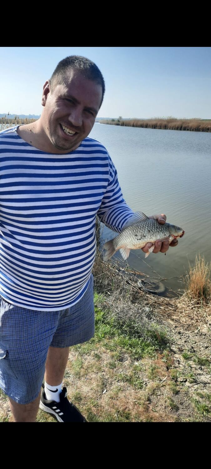 ���� 55396236 ������� ���������, 36 ���, ���� ���������� � ������