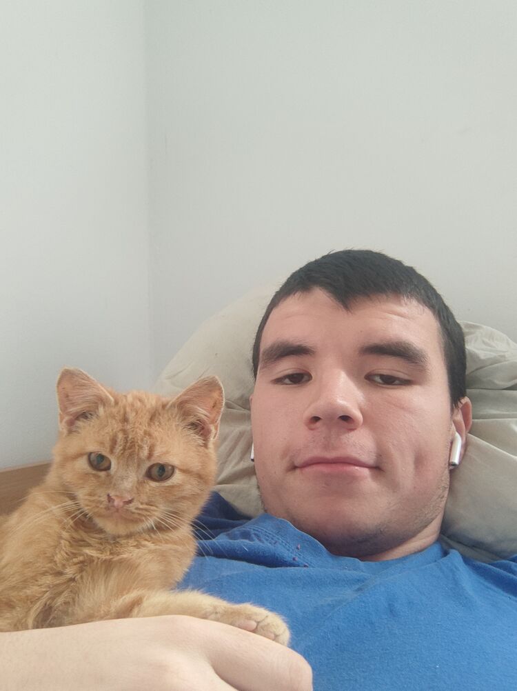 ���������� �����������, ���� ����� �����, 20 ���, ������������ 