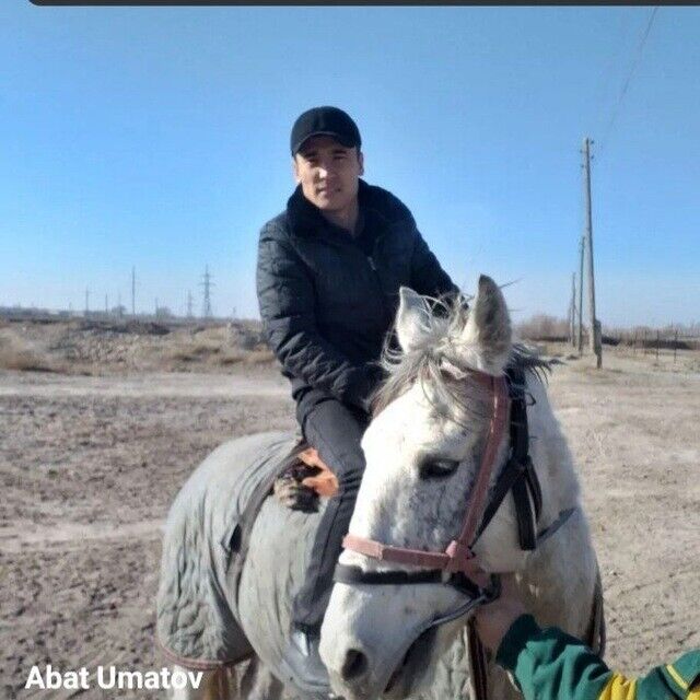  22434446  Abat, 31 ,    