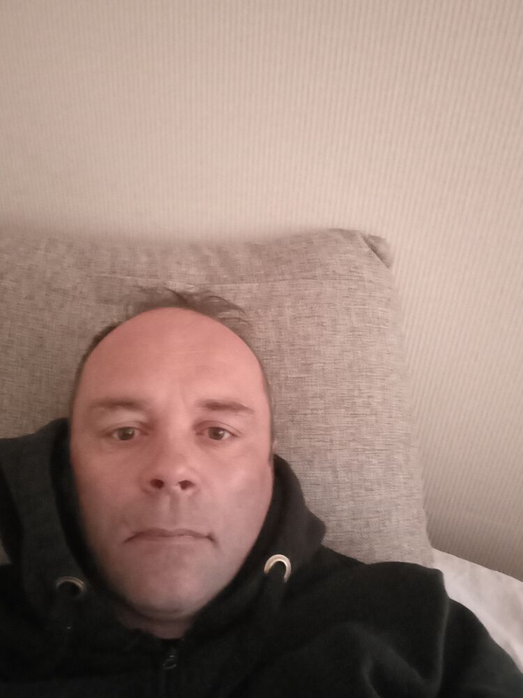  51310376  , 46 ,    -