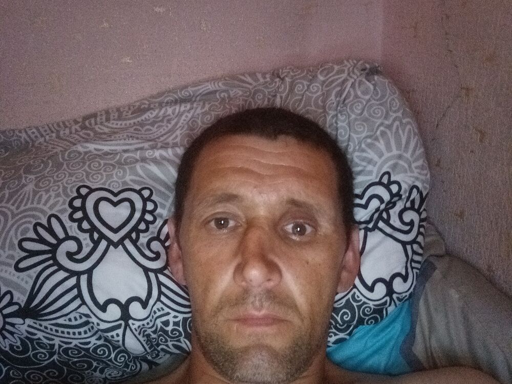 48157436  , 41 ,    