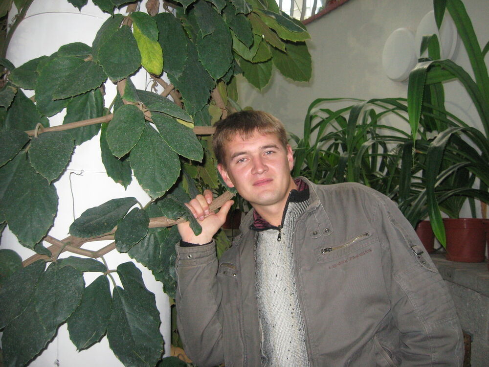 ���� 4629996 ������� ������, 45 ���, ���� ���������� � ������