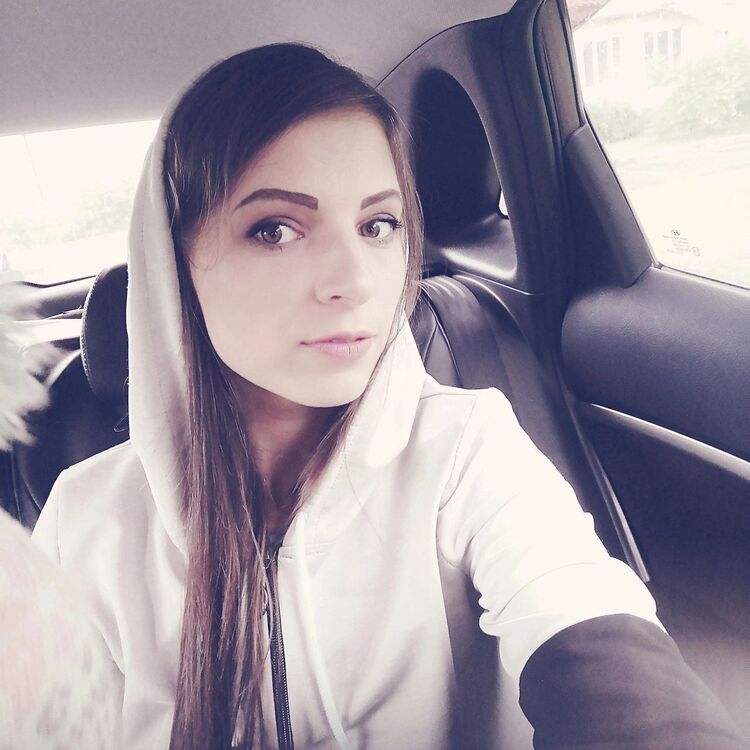 33803126  , 29 ,    