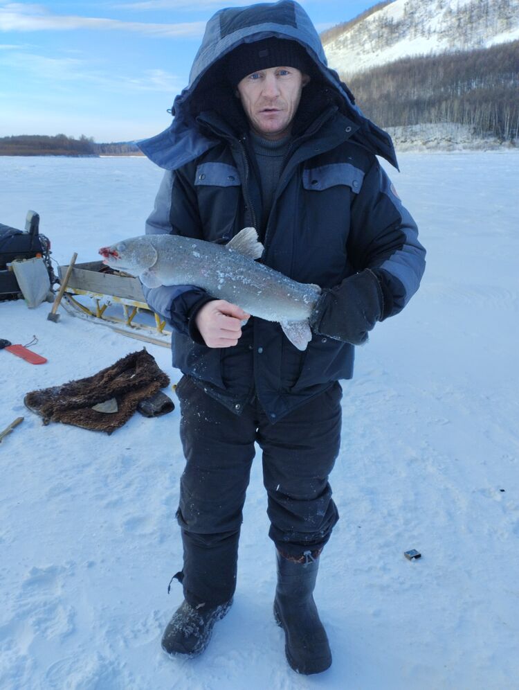 ���� 40589696 ������� ������, 39 ���, ���� ���������� � ����������