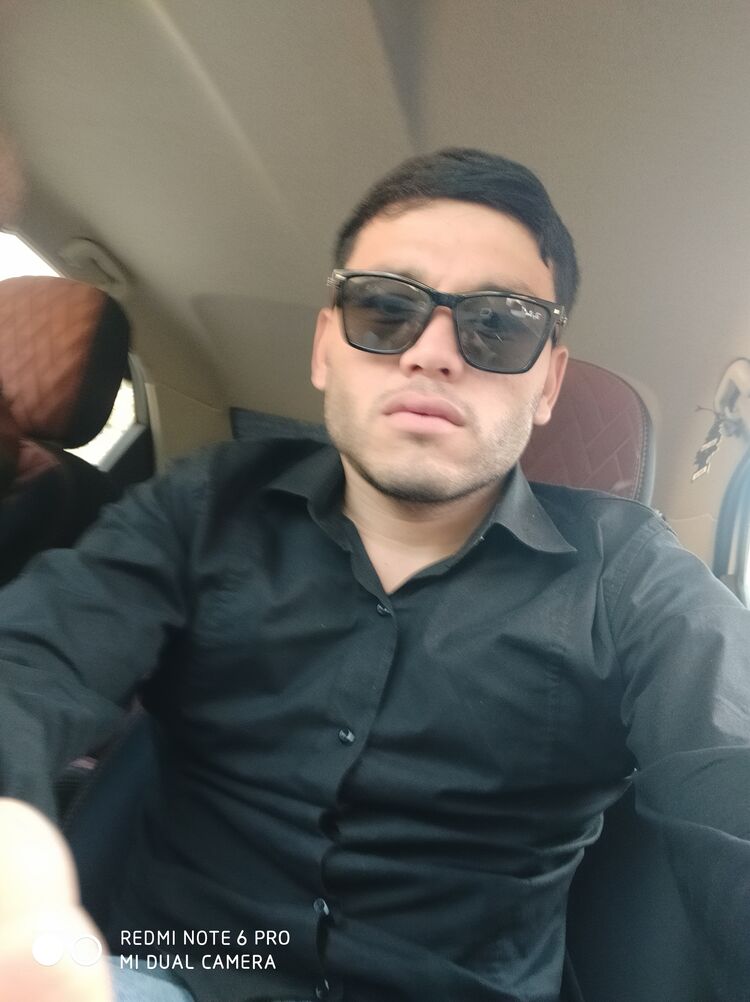  31578036  , 31 ,    