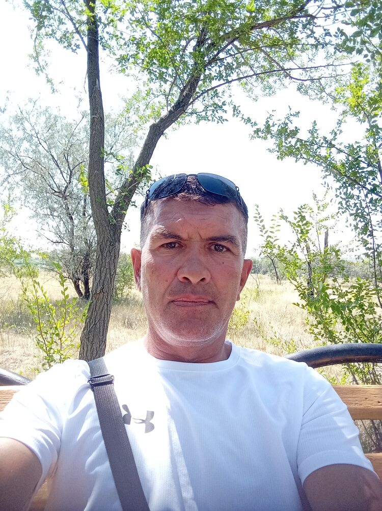  23589536  , 49 ,    