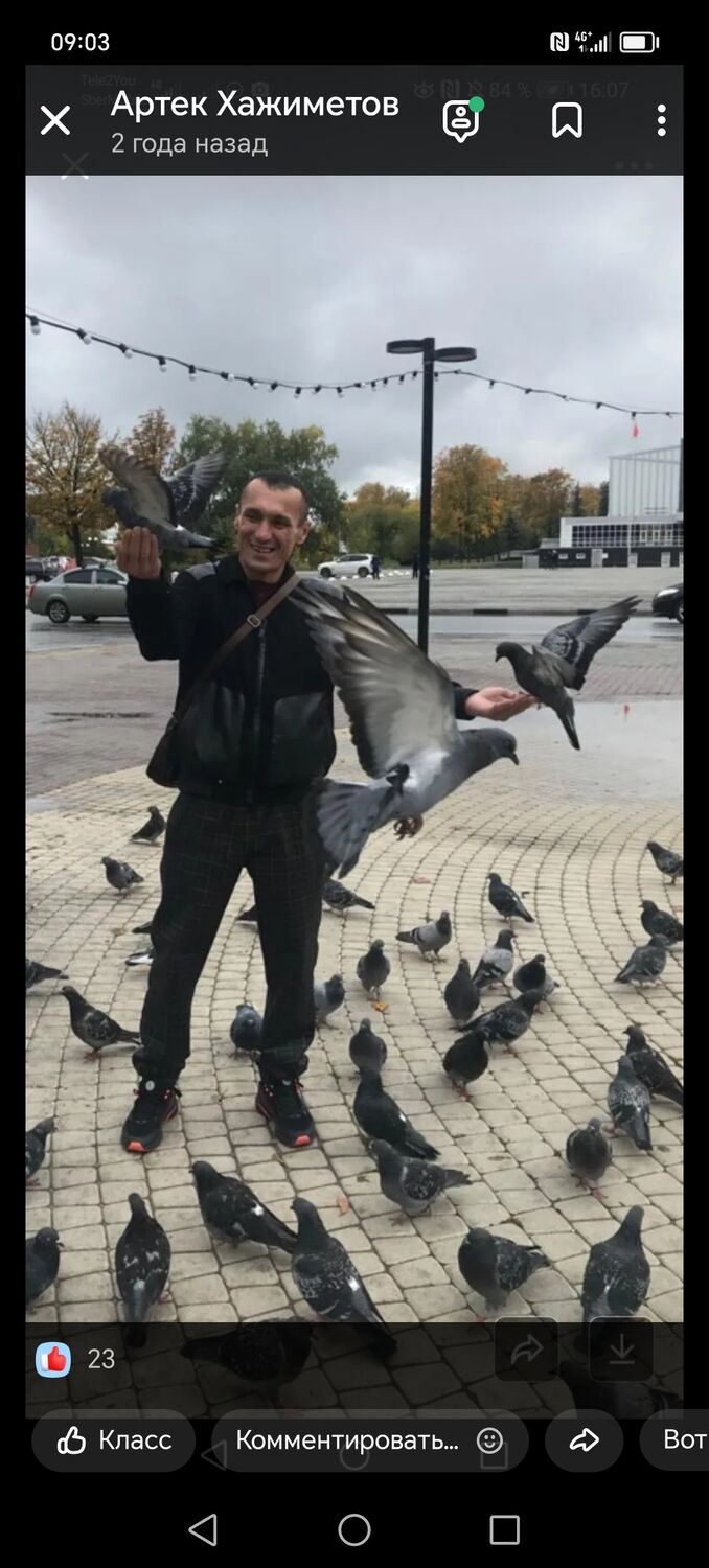  ,   Artek, 41 ,   c 
