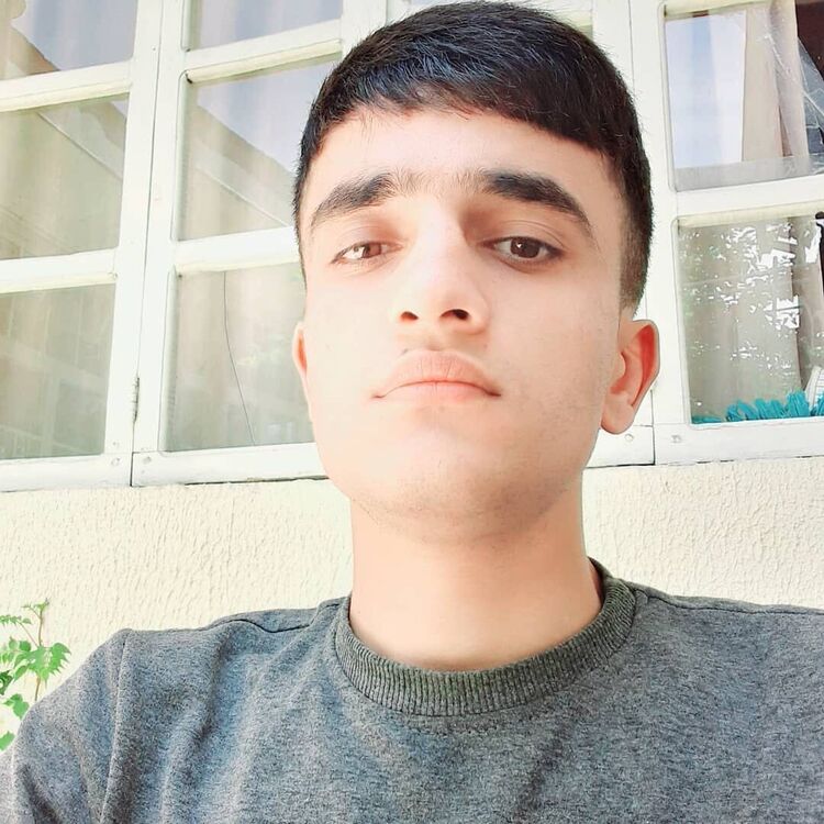  45732256  , 24 ,    