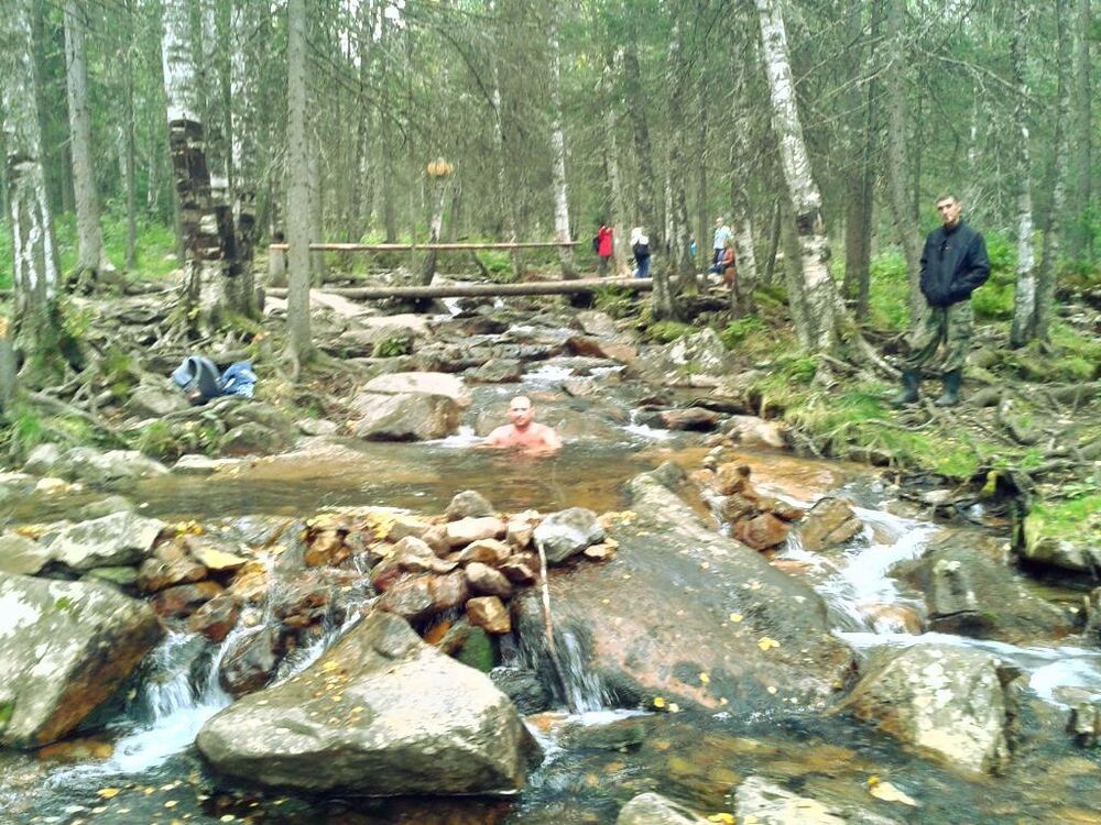 ���������� ���������, ���� ������� ������, 41 ���, ������������ ��� ������